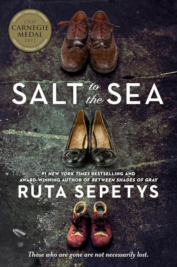 Salt to the Sea Paperback