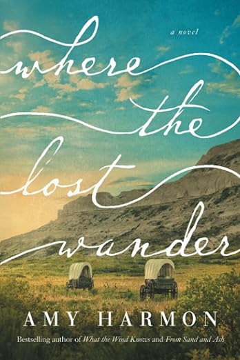 Where the Lost Wander: A Novel Paperback